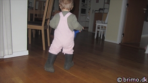 Miniature af billede nummer 2333