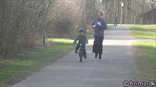 Miniature af billede nummer 2339