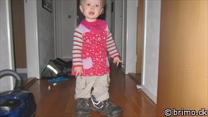 Miniature af billede nummer 2340