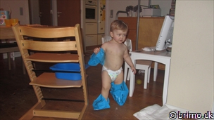 Miniature af billede nummer 2341