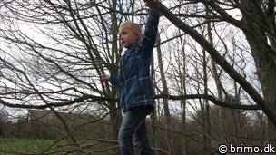 Miniature af billede nummer 2348