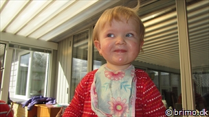 Miniature af billede nummer 2354