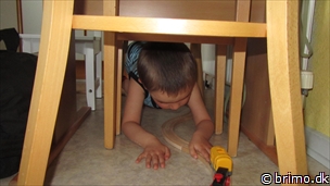 Miniature af billede nummer 2357