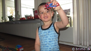 Miniature af billede nummer 2361