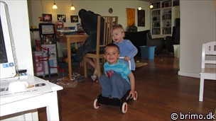 Miniature af billede nummer 2363