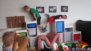 Miniature af billede nummer 2368