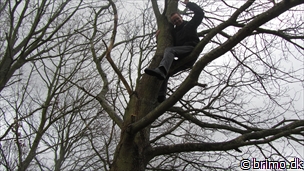 Miniature af billede nummer 2372