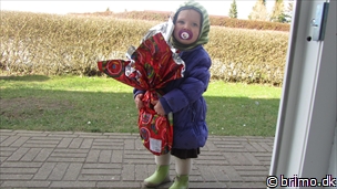 Miniature af billede nummer 2378