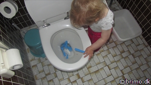 Miniature af billede nummer 2384