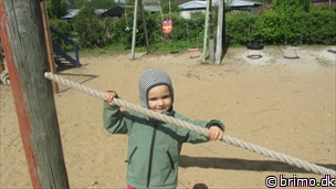 Miniature af billede nummer 2385