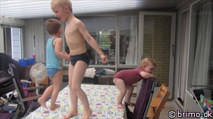 Miniature af billede nummer 2390