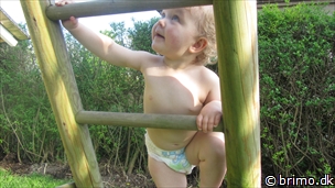 Miniature af billede nummer 2393