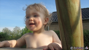 Miniature af billede nummer 2395