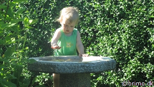 Miniature af billede nummer 2404