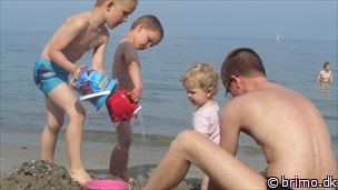 Miniature af billede nummer 2405