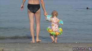 Miniature af billede nummer 2409