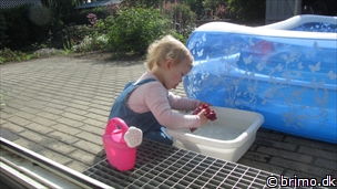 Miniature af billede nummer 2410