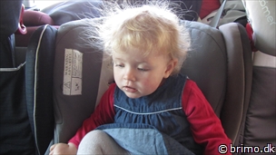 Miniature af billede nummer 2413