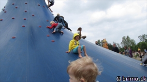 Miniature af billede nummer 2416