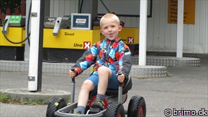 Miniature af billede nummer 2419