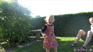 Miniature af billede nummer 2424