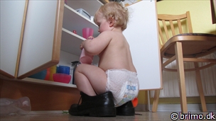 Miniature af billede nummer 2425