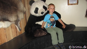 Miniature af billede nummer 2426