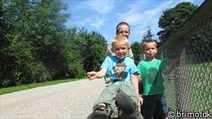 Miniature af billede nummer 2428