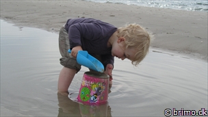 Miniature af billede nummer 2436