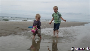 Miniature af billede nummer 2437