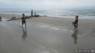 Miniature af billede nummer 2438