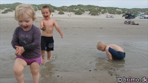 Miniature af billede nummer 2439