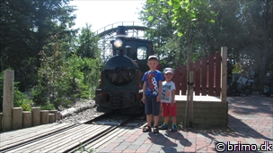 Miniature af billede nummer 2441