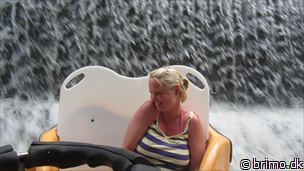 Miniature af billede nummer 2442