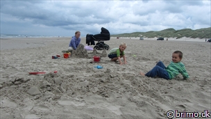 Miniature af billede nummer 2447