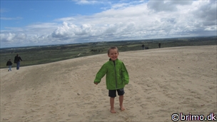 Miniature af billede nummer 2450