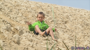 Miniature af billede nummer 2451