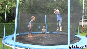 Miniature af billede nummer 2463