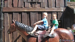 Miniature af billede nummer 2464