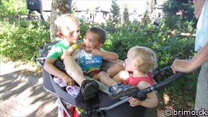 Miniature af billede nummer 2466