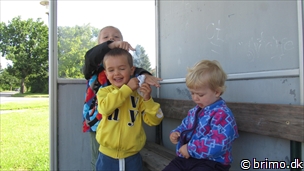 Miniature af billede nummer 2469