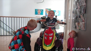 Miniature af billede nummer 2472