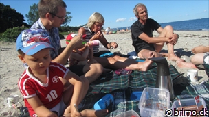 Miniature af billede nummer 2483