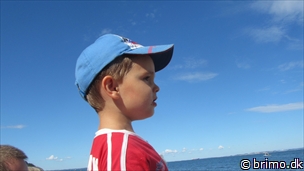 Miniature af billede nummer 2485