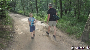 Miniature af billede nummer 2488