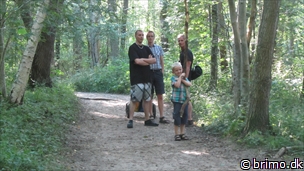 Miniature af billede nummer 2489