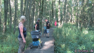 Miniature af billede nummer 2491