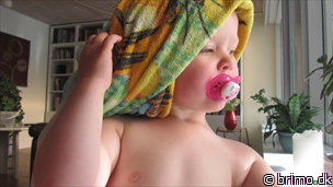 Miniature af billede nummer 2497