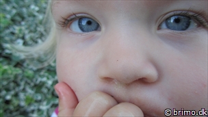 Miniature af billede nummer 2502