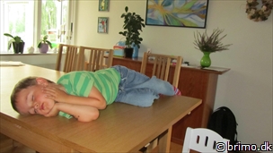 Miniature af billede nummer 2503